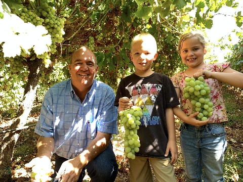 About fortitude Cellars